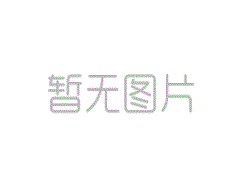 DH01E-1-W-打滑檢測器DH01E-1-W-打滑開關價格優惠